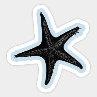 Starfish Sticker